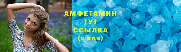 прущие грибы Верхний Тагил