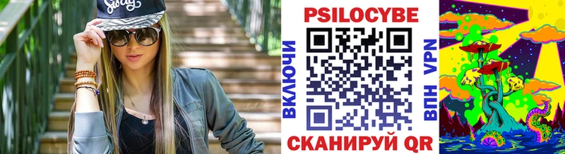 где купить   Малаховка  Псилоцибиновые грибы прущие грибы 